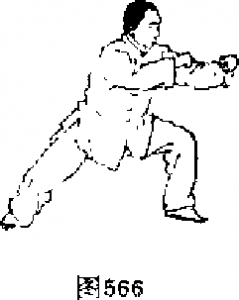 圖片6
