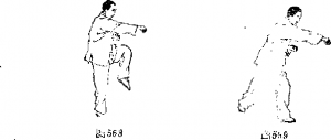 圖片8