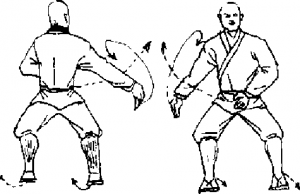 圖片13