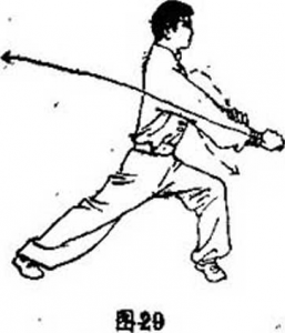 圖片5