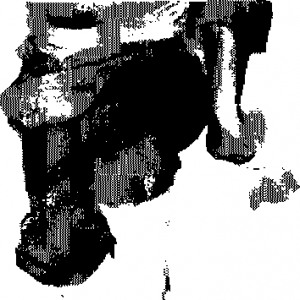 圖片22