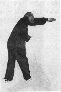 圖片9
