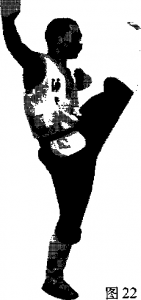 圖片3