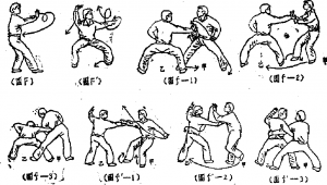 圖片16