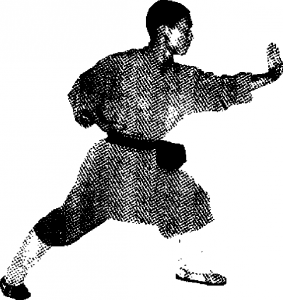 圖片13