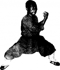 圖片17