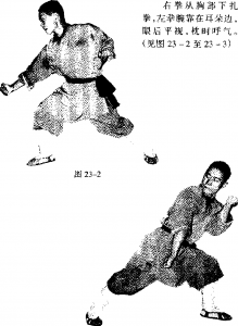 圖片41