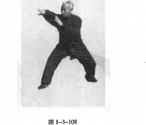 圖片8