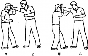 圖片53