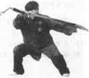 圖片15