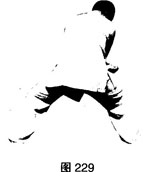 圖片5