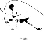 圖片13