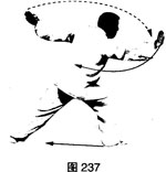 圖片14