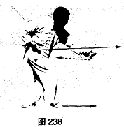 圖片15