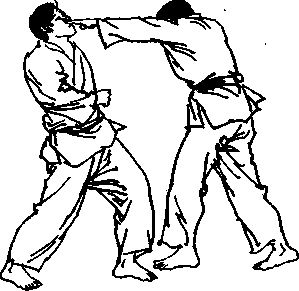 什么是截拳道左戳指插擊敵眼