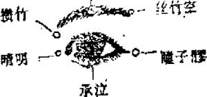 圖片3