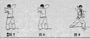 圖片3