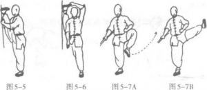 圖片5