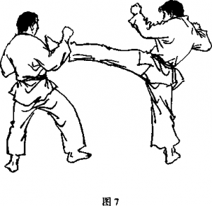 截拳道側(cè)踹腿進(jìn)攻