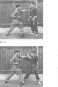 圖片19