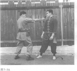 圖片21