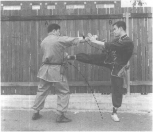 圖片22