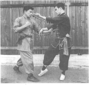 圖片24