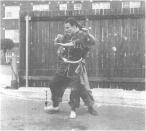 圖片28