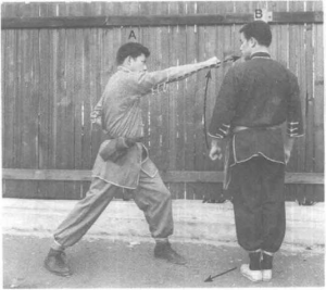 圖片29