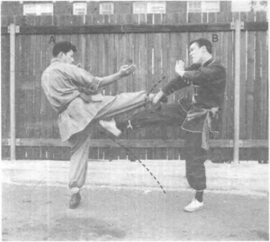 圖片32