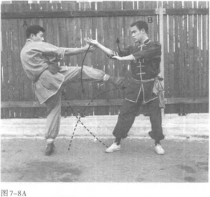 圖片31