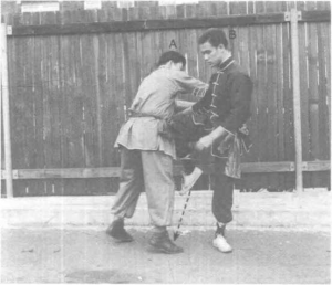 圖片33