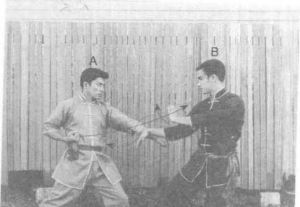 圖片7