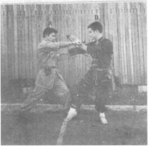 圖片8