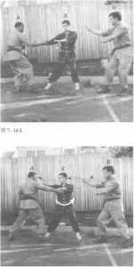 圖片13