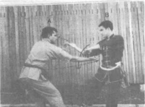 圖片15