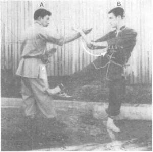 圖片20