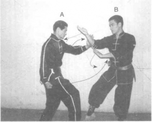 圖片21