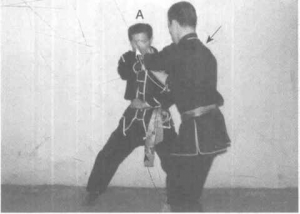 圖片30