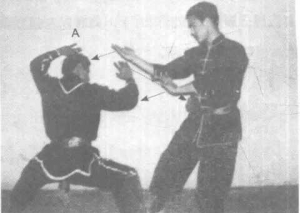 圖片32