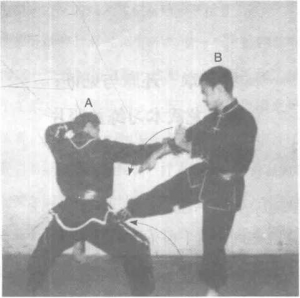 圖片33