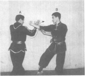 圖片31