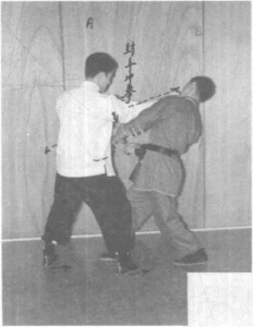 圖片40