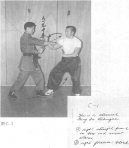 圖片45
