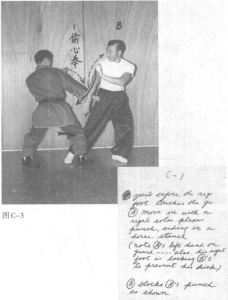 圖片48