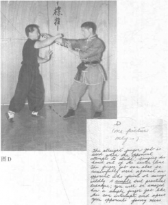 圖片51