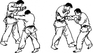 截拳道后手?jǐn)[拳