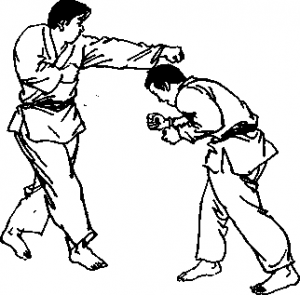 截拳道前手?jǐn)[拳