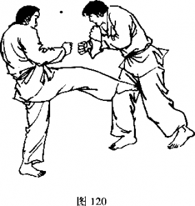 截拳道右腿彈踢襠部