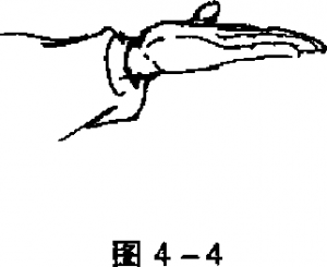 圖片153